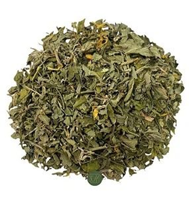 DAMIANA "Turnera difusa Willd"