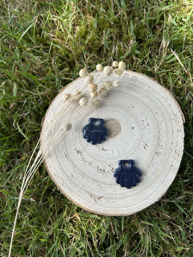 Pampilles St Jacques ciel étoilé 