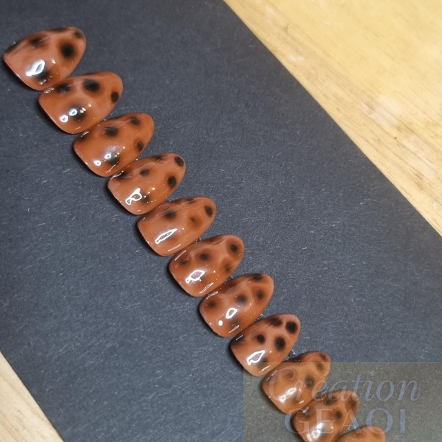 Tortoise Little Rond xs sur commande délai de 7jours ouvrable