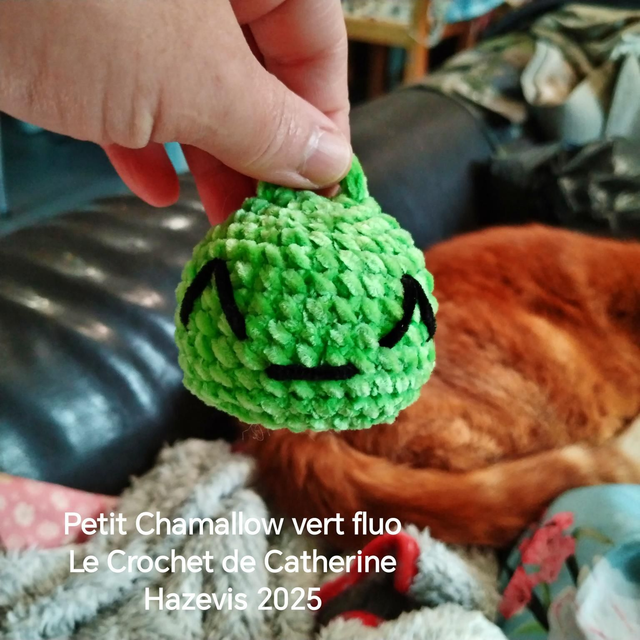 2025 Petit Chamallow vert fluo