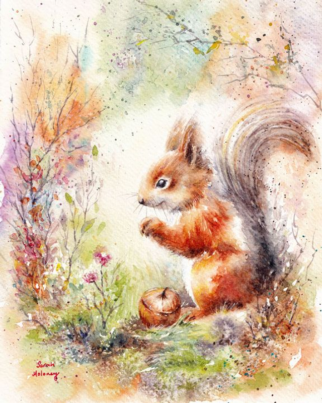 little red squirrel