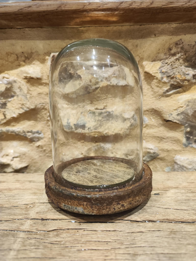 Glass Cloche Bell Dome