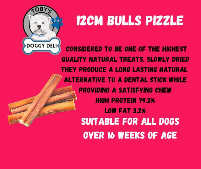 Bulls Pizzle ... 12cm 