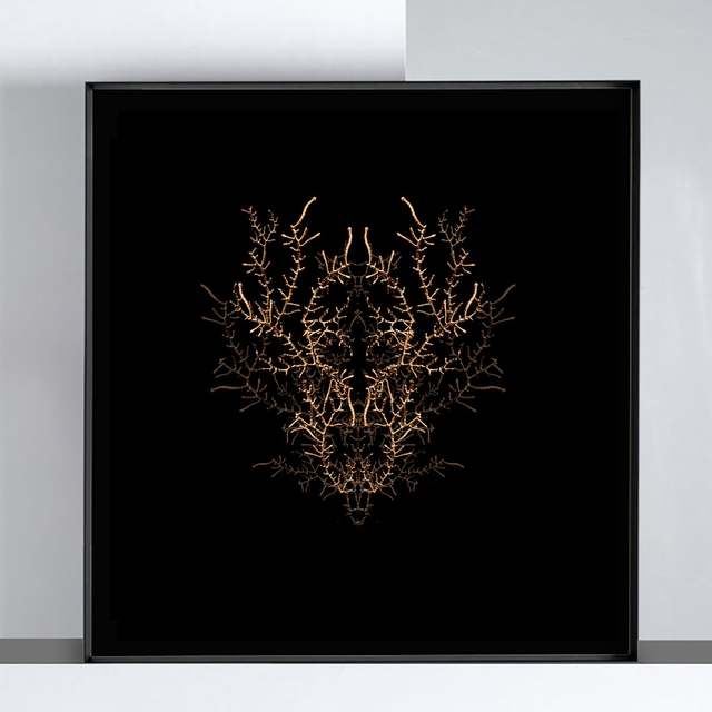 Filon de timidité n°3 | Tirage 1/8