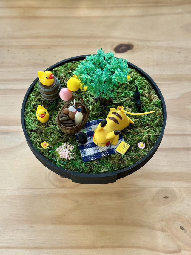 ☀️ Terrarium Pokémon - Édition Été - Pikachu