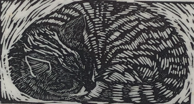 SP37 Tabby(ii) 14/50 by Shelagh Popham,  Wood Engraving, 2 3/4 x 1 1/2 inches