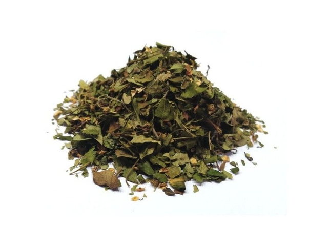 Espino blanco o Albar