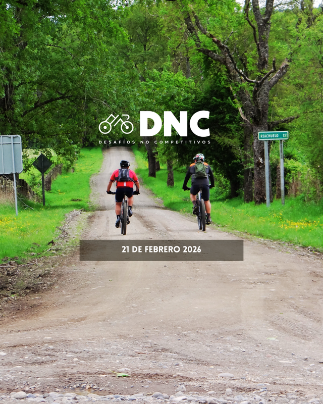 DNC Verano 21 de febrero 2026