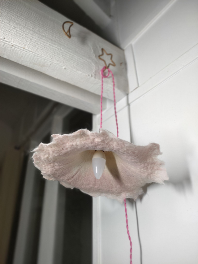 JOSEPHINE S contours aléatoires