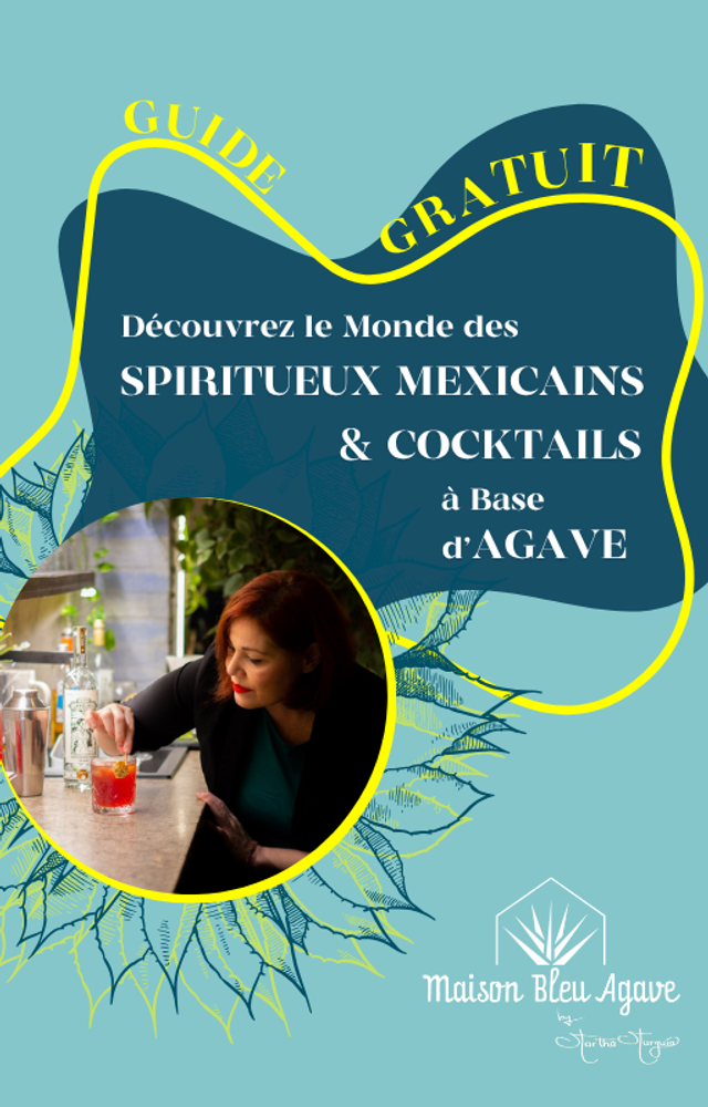 Guide Gratuit – Explorez l’univers des spiritueux mexicains à base d’agave