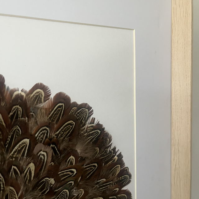 Cadre Jujuhat plumes de faisan soldé