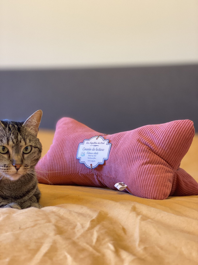 Coussin de lecture en velours côtelé