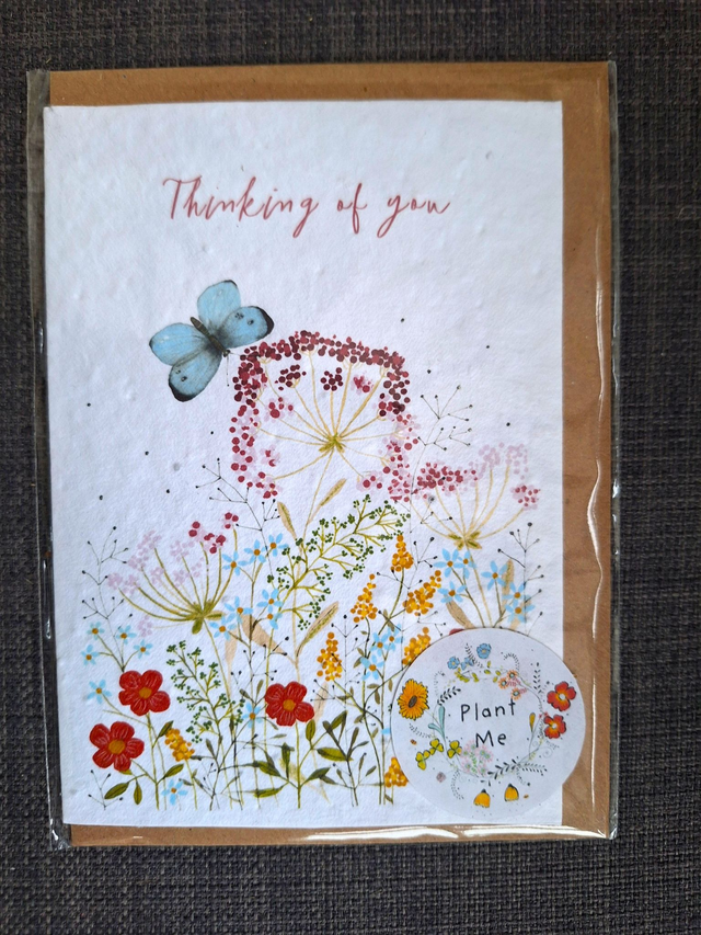 Seed greeting card - thinking of you