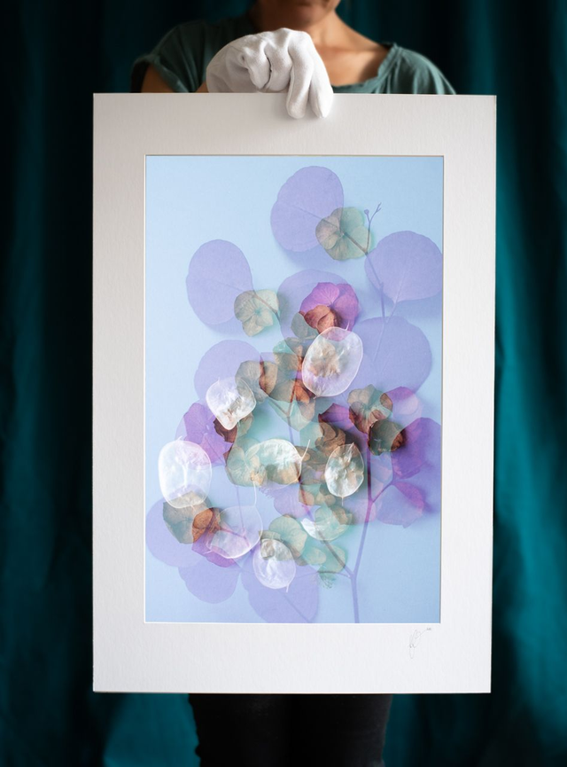 Fleurs éternelles - 8