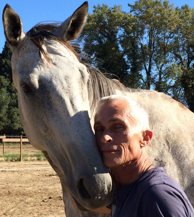 Communication Animale