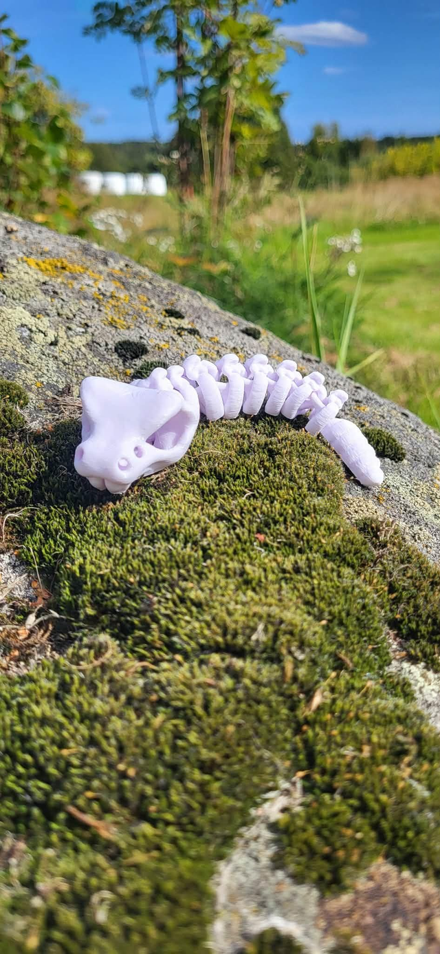 Söt liten ledad orm