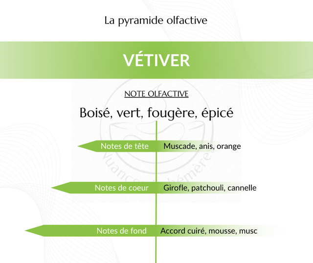 Vétiver - Fondant parfumé