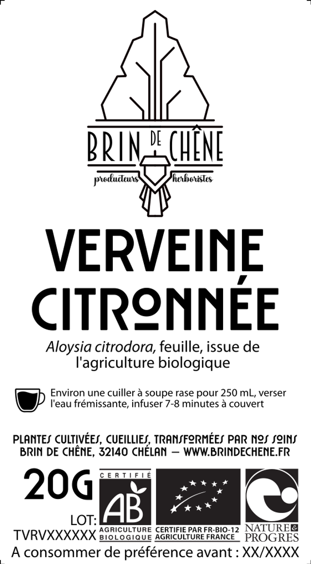 Verveine – Tisane simple
