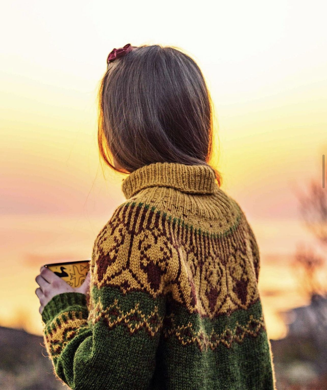 Nordkalott Sweater Kit - Col 06 (Green and Mustard Rauma Vams) - Wool & Pattern - Linka Neumann