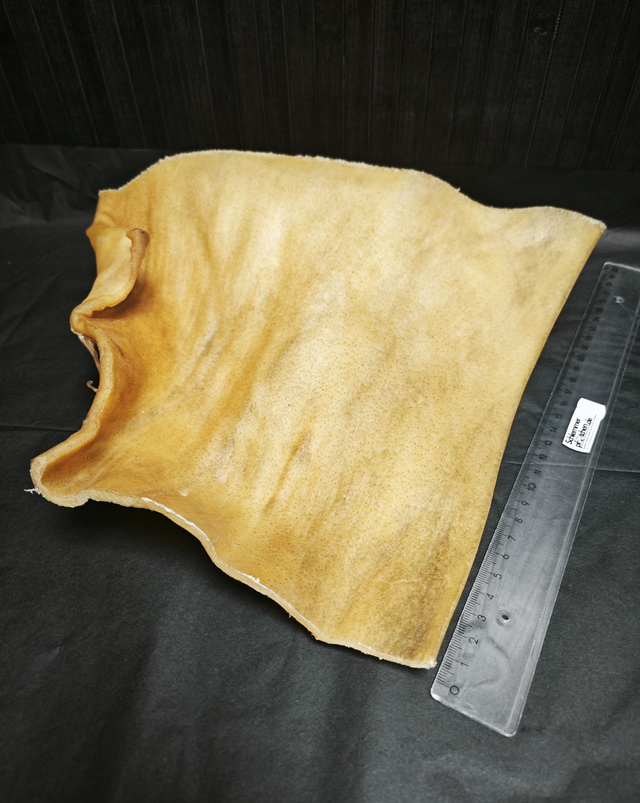 Büffel-Kopfhautplatte XL - hypoallergen