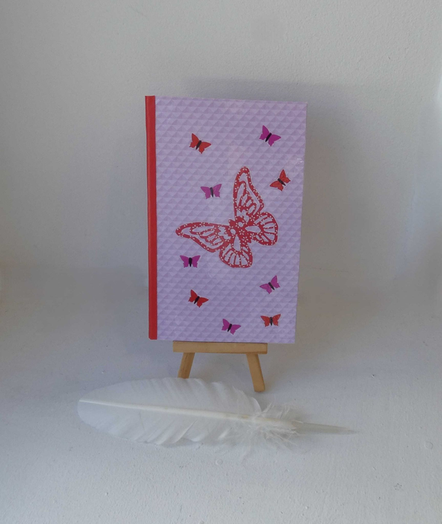Le petit carnet aux papillons