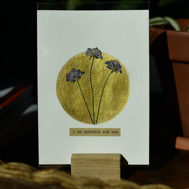 carte postale • i am grateful for now