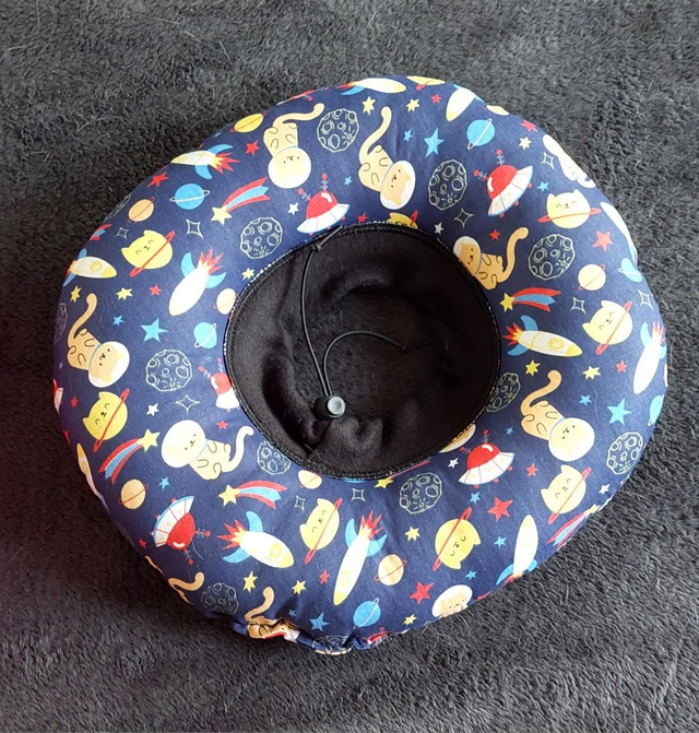 colar elizabetano para gatos