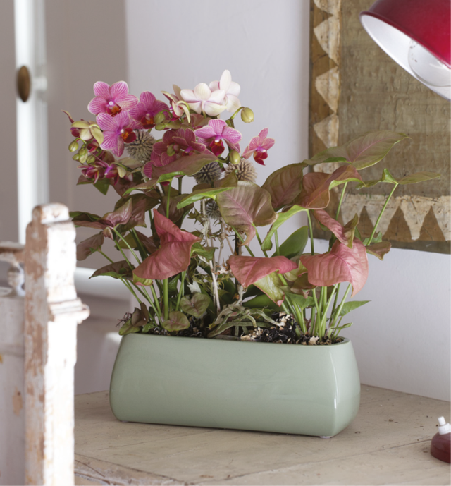 K06 . Tago cassetta in ceramica 18x8 (colore bianco)