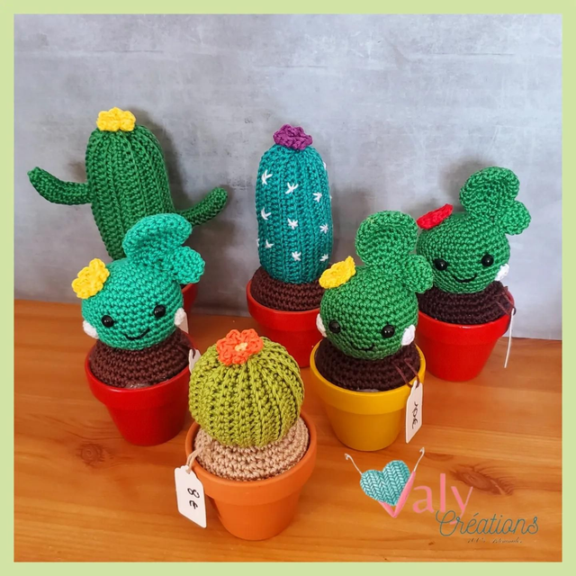 Petits Cactus en pot (sur commande)