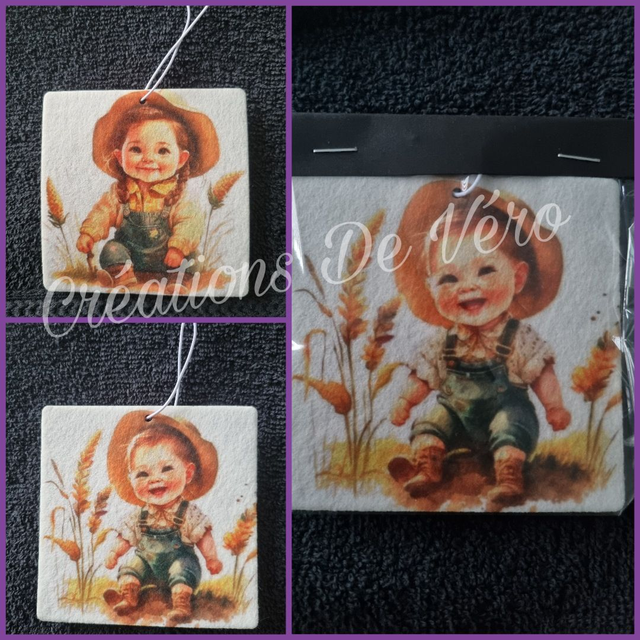 Désodorisant véhicule ou autre