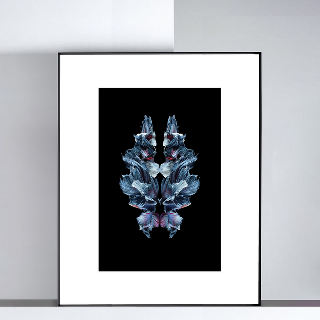 Imago Betta Vague | Tirage 3/8