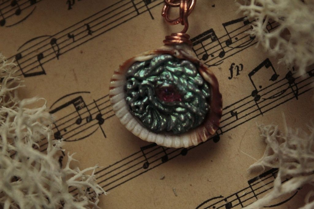 Coquillage Métamorphe- n°11