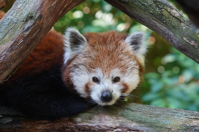 Sie möchten unsere Arbeit unterstützen: Hier könne Sie uns Ihre Spende zukommen lassen