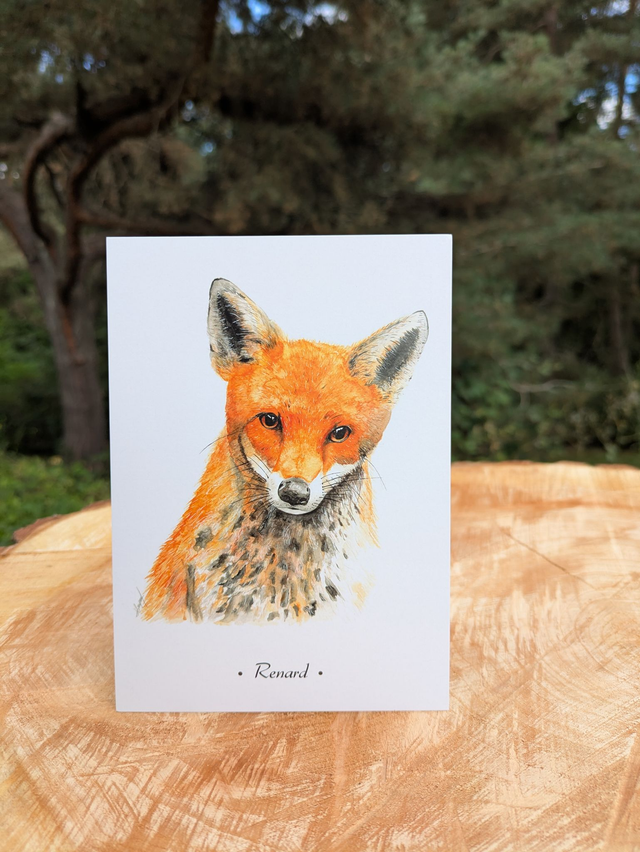 Carte Postale Renard