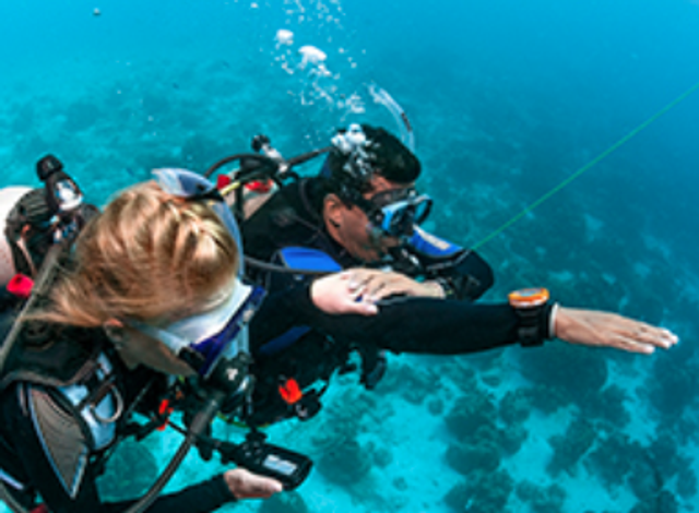 eLearning cours de spécialité padi SANS cours pratique