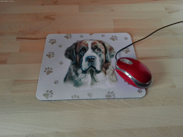 Tapis de souris Saint bernard