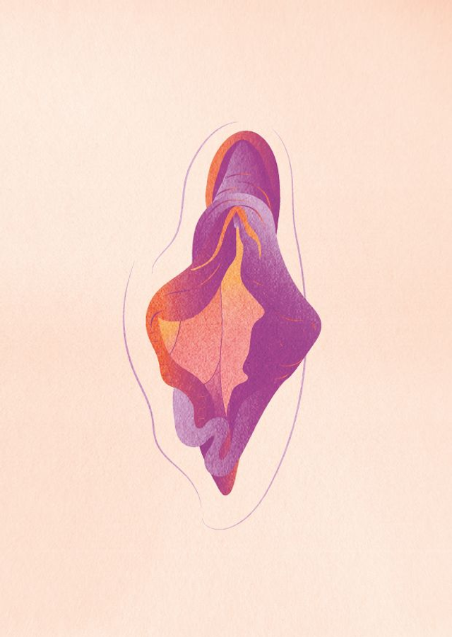 Vulve violette