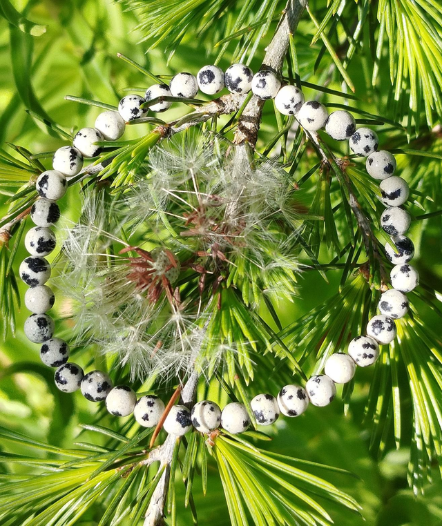 Bracelet Jaspe Dalmatien