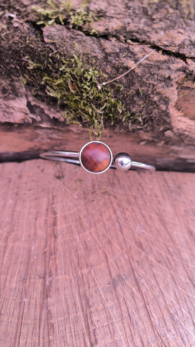 Mirabellier - 250063