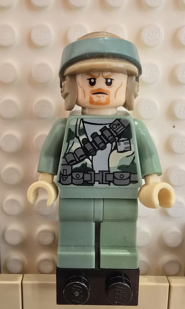 LEGO sw0507 Endor Rebel Trooper Minifigur