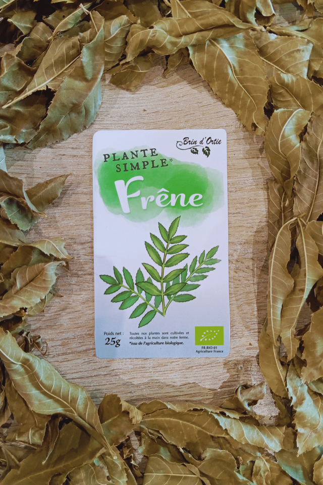 Plante simple, Frêne