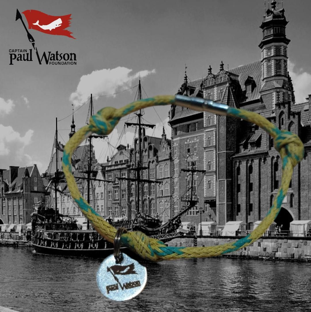 Fischernetz-Armband grün-gelb (einreihig) mit CPWF-Anhänger