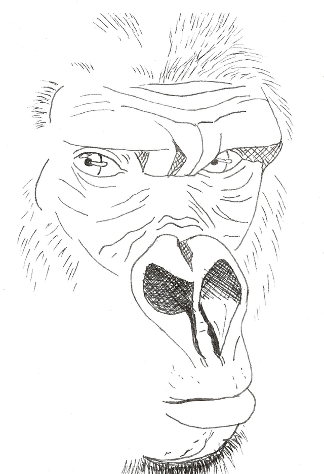 Carte &quot;Finis Moi!&quot; -Le Gorille 