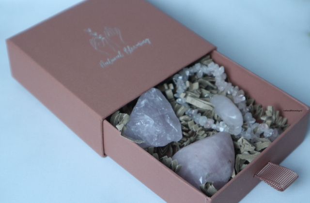 Ensembles de mois de naissance JANVIER