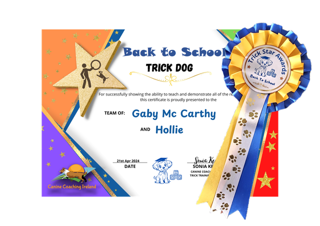 Back to School - Beginner