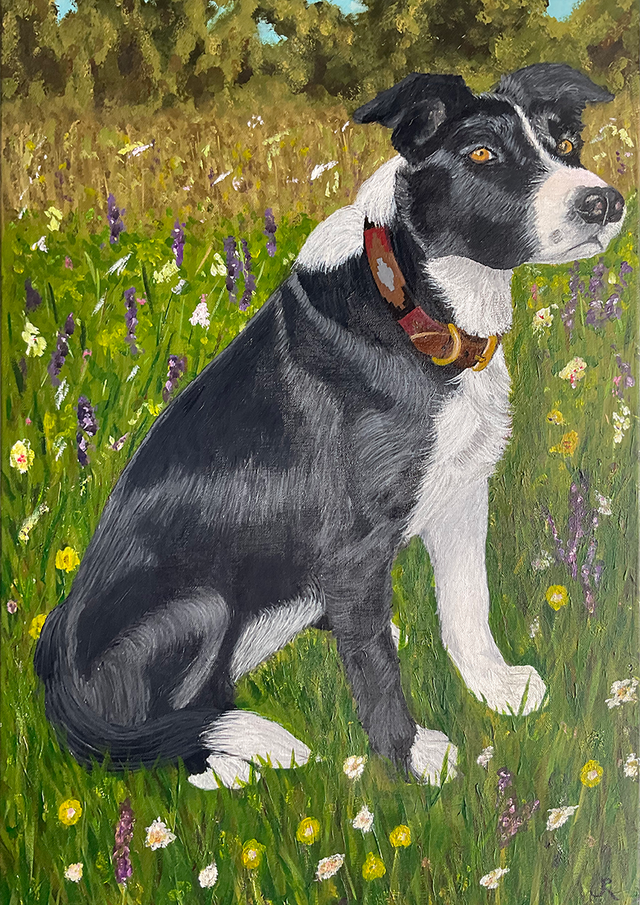 Cato   (Fine Art Limited Edition. Giclée Print)