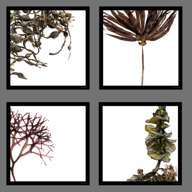 Cadres"point de vue"