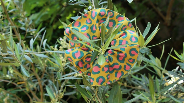 Chouchou graou coloré