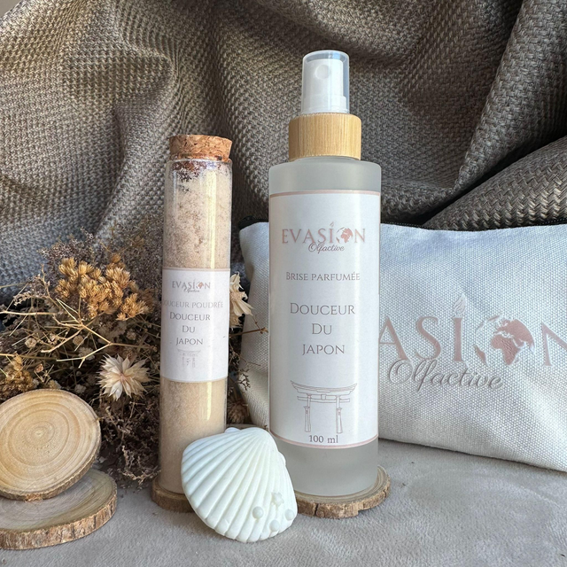 Evasion d&#039;argent Japon