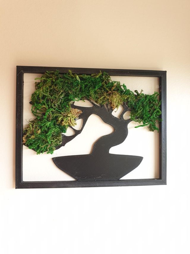 Cadre décoratif Bonsaï végétal – Petit format 🌿